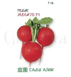 Редис мелито Семена Азии
