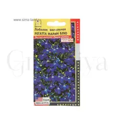 Лобелия ампельная Регата Марин Блю 10 шт ПОИСК