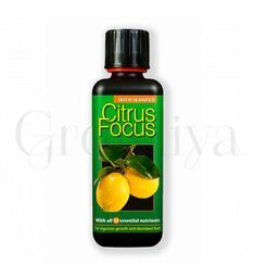 GT Citrus Focus для цитрусовых 1 л