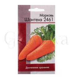 Морковь Шантане 2461 5000 шт РЕДКИЕ СЕМЕНА