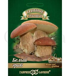 Белый Гриб Дубовый на зерновом  субстрате 15 мл