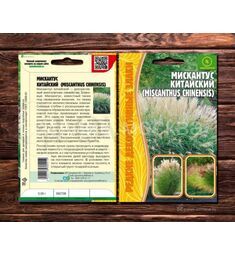 Мискантус китайский 10 шт РЕДКИЕ СЕМЕНА