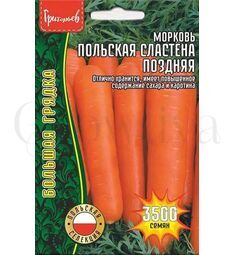 Морковь Польская Сластена поздняя 3500 шт РЕДКИЕ СЕМЕНА