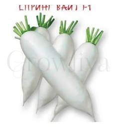 Дайкон Спринг Вайт F1 10 шт