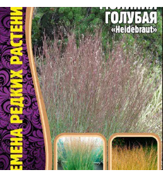 Молиния голубая  Heidebraut  20 шт РЕДКИЕ СЕМЕНА