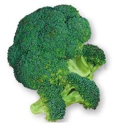 Брокколи Парасоль F1 10 шт