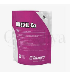 Брексил Са профилактика дефицита кальция 100 г ( фасовка)