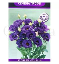 Эустома кр цв Супер Мэджик Дип Блю 5 шт ПОИСК