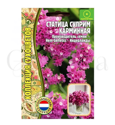 Статица Суприм Карминная  РЕДКИЕ СЕМЕНА