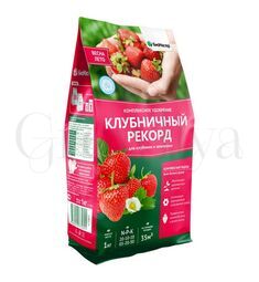 Био Мастер Удобрение комплексное Клубничный рекорд 1 кг