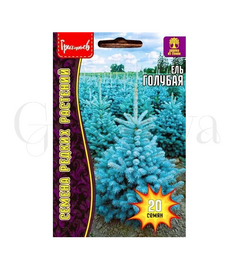 Ель Голубая РЕДКИЕ СЕМЕНА