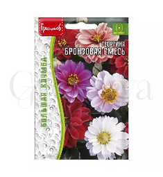 Георгина БРОНЗОВАЯ СМЕСЬ Большая грядка