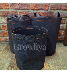 Живой горшок 1 л