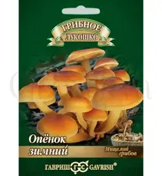 Опенок Зимний на древесной палочке 12 шт