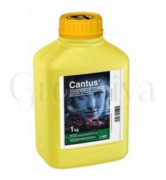 Кантус  ВДГ 1 кг