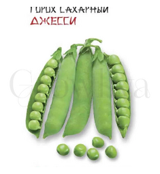 Горох сахарный Джеси F1 10 шт