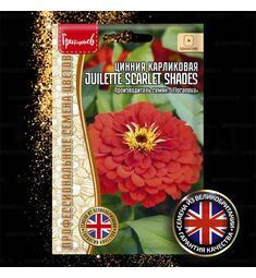 Цинния  Джульетта Скарлет Шейдс