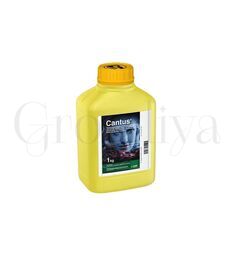 Кантус  ВДГ 100 г (фасовка)