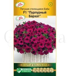 Петуния стелющаяся Бэби Пурпурный бархат F1 5 шт ЕС