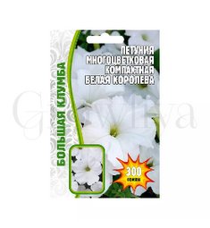 Петуния компактная  Белая Королева
