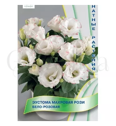 Эустома махровая Рози Бело-розовая 5 шт ПОИСК