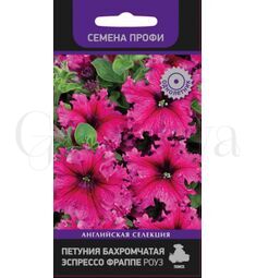 Петуния бахромчатая Эспрессо Фраппе Роуз 10 шт ПОИСК