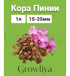 Кора Пинии Португальской аналог Орхиаты 15-25 мм 1 л