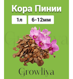 Кора Пинии Португальской аналог Орхиаты 6-12 мм 1 л