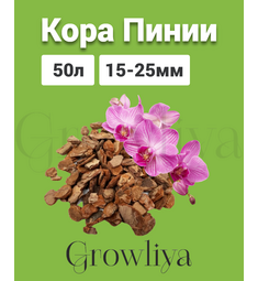 Кора Пинии Португальской аналог Орхиаты 15-25 мм 50 л