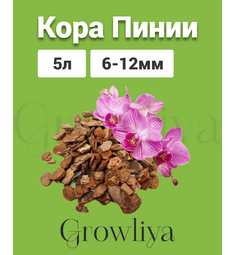 Кора Пинии Португальской аналог Орхиаты 6-12 мм  5 л