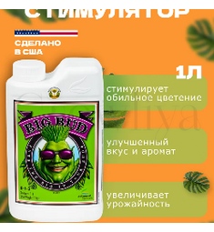 Advanced Nutrients Big Bud Liquid стимулятор образования соцветий 1 л