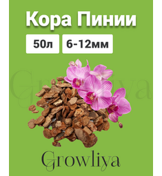 Кора Пинии Португальской аналог Орхиаты 6-12 мм 50 л