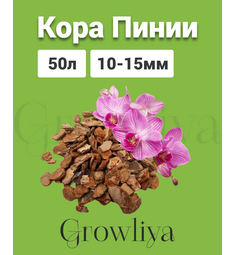 Кора Пинии Португальской аналог Орхиаты 10-15 мм 50 л