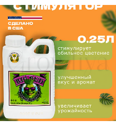 Advanced Nutrients Big Bud Liquid стимулятор образования соцветий 250 мл