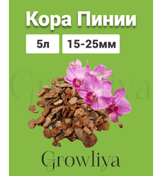 Кора Пинии Португальской аналог Орхиаты 15-25 мм 5 л