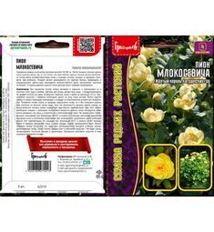 Пион Млокосевича Paeoni mlokosewitschii