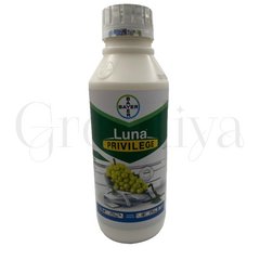 Луна Привиледж 50 мл (фасовка)