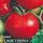 Томат Кострома F1 10 шт Гавриш