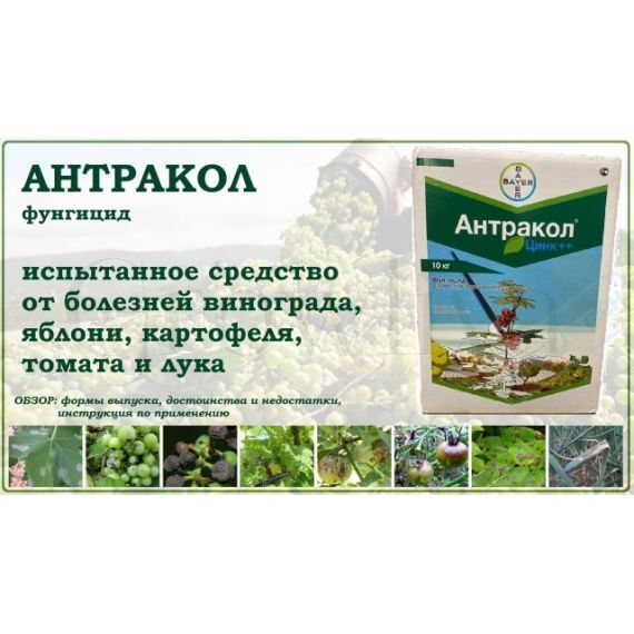 Антракол 100г (фасовка)