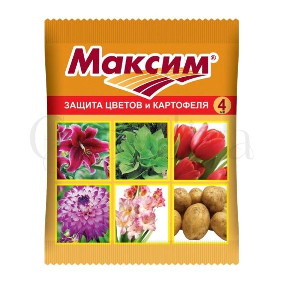 Максим (защита цветов и картофеля), 4мл