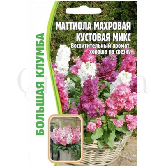 Маттиола махровая кустовая микс 0,1 г РЕДКИЕ СЕМЕНА