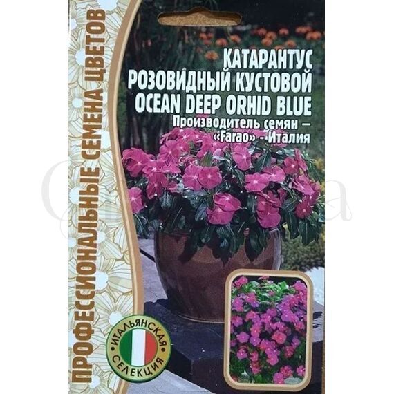 Катарантус розовидный Ocean Deep Orhid BLUE  5 шт РЕДКИЕ СЕМЕНА