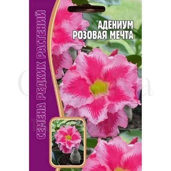 Адениум Розовая мечта 3 шт РЕДКИЕ СЕМЕНА
