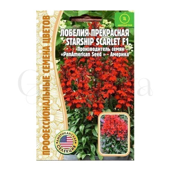 Лобелия Старшип Скарлет прекрасная 3 шт РЕДКИЕ СЕМЕНА