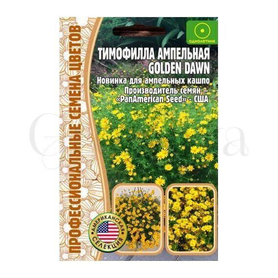 Тимофилла ампельная Голден Дав 15 шт РЕДКИЕ СЕМЕНА