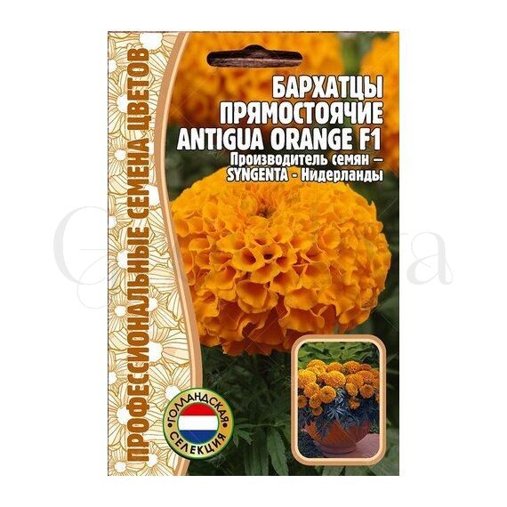 Бархатцы  прямостоячие Antigua Orange F1 5 шт РЕДКИЕ СЕМЕНА