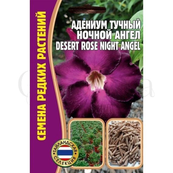 Адениум Тучный Ночной ангел 3 шт РЕДКИЕ СЕМЕНА