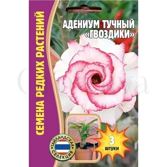 Адениум Тучный Гвоздики 3 шт РЕДКИЕ СЕМЕНА