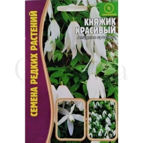 Клематис Княжик Красивый 3 шт РЕДКИЕ СЕМЕНА