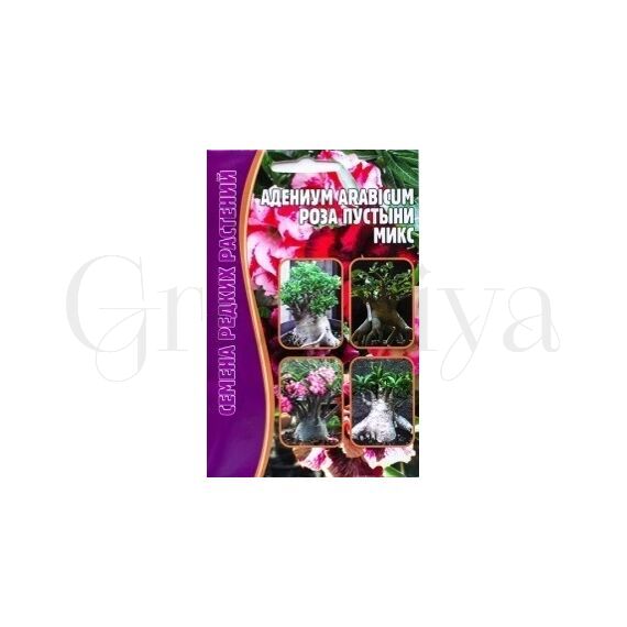 Адениум Arabicum Роза пустыни смесь 3 шт РЕДКИЕ СЕМЕНА